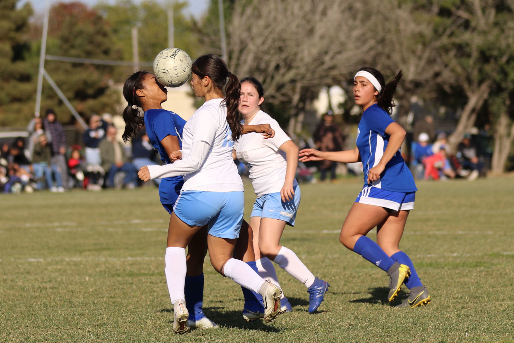 021520 Bloomington Lompoc GSoc 08.jpg